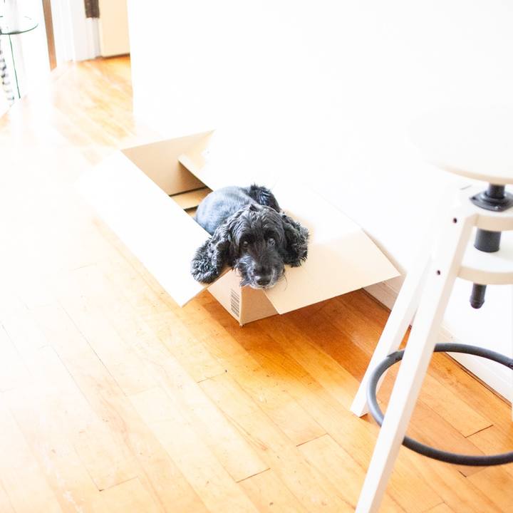 21b3eb97 812f 4a26 9deb af0acd102034 1602063937050