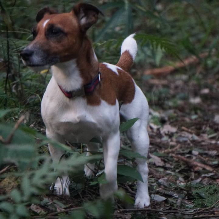 21b3fbbc 7bdd 4bda 92dc ee74bd67bb88 1539558068511