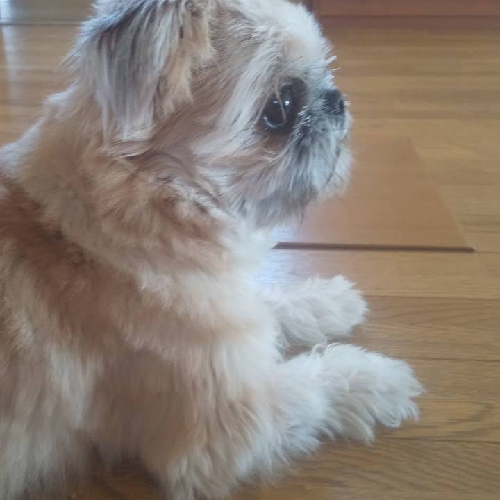 21b406e6 c9f6 4056 b0c8 25f7caeeef50 1733190014829