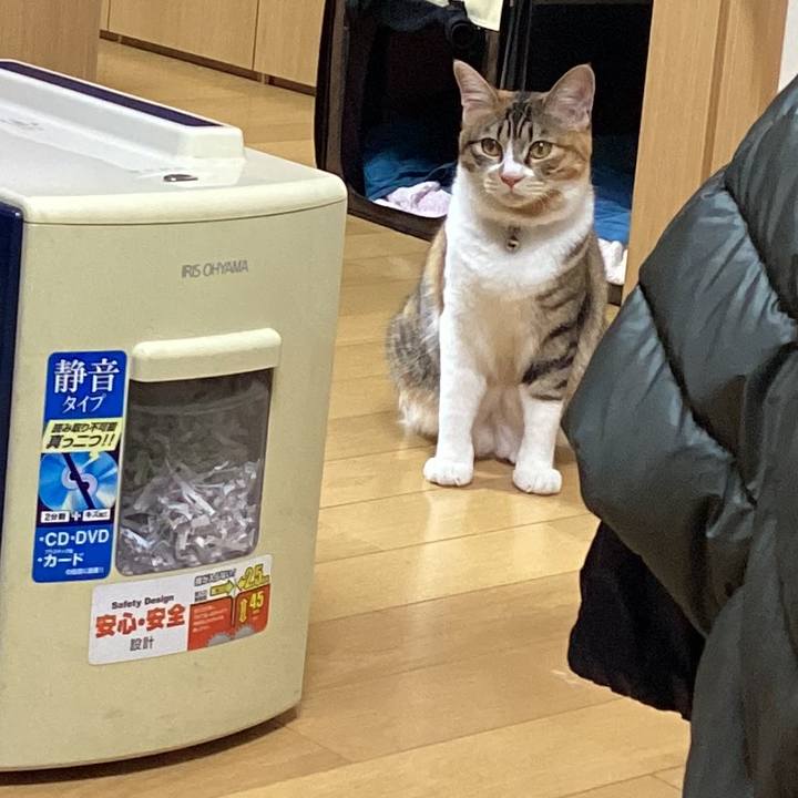 21b460d7 d8dd 4ef7 be4a 85f538d24d4d 1652312127322