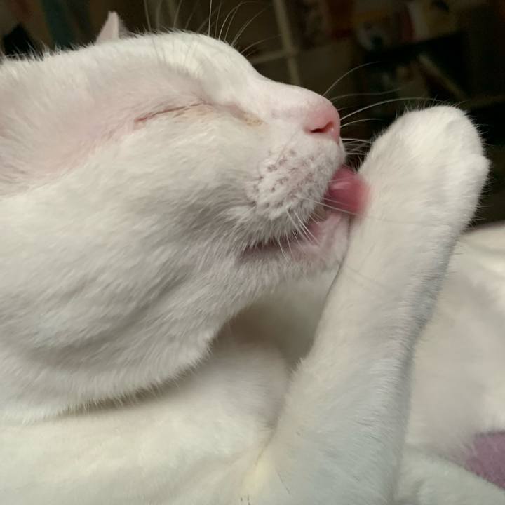 21b4646f c510 4287 bb17 71eaff2f79a3 1624740402195