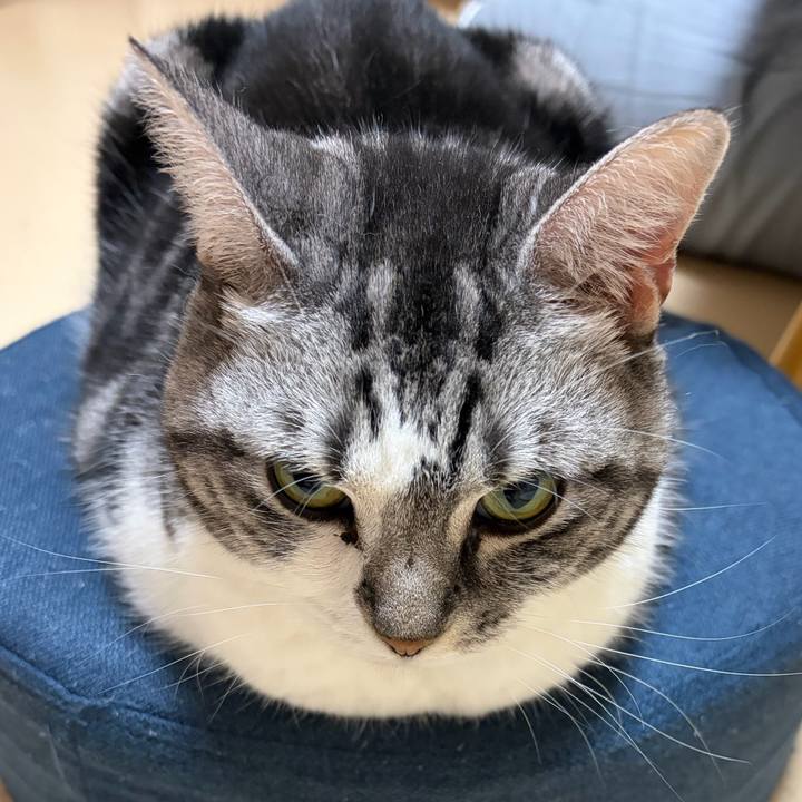 21b4695f 55aa 4f77 92f1 01fbe6e30244 1769175733703