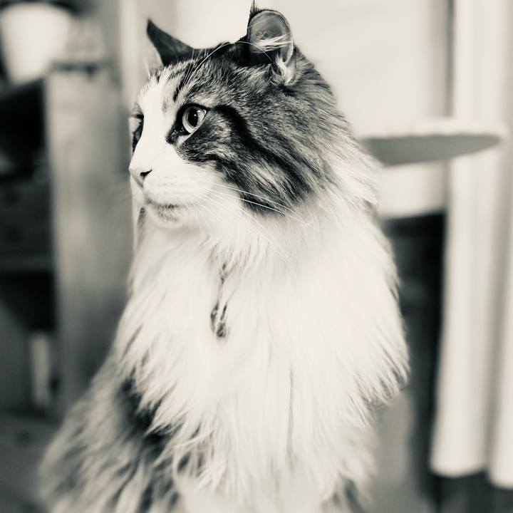 21b46d6e 0719 4a95 a56d 26f717071325 1709580766159