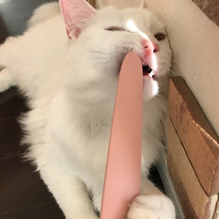 21b49a0e eb46 47bc 913a 72145d572f17 1530441895584