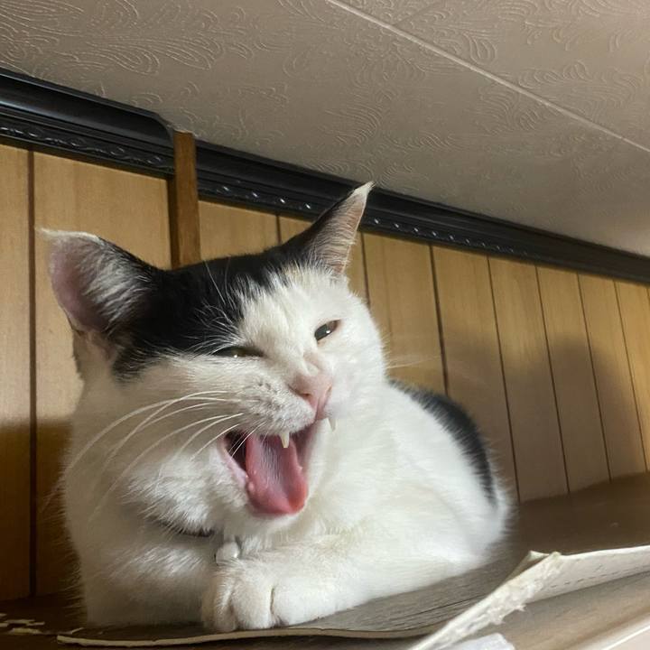 21b4ccfb 4ece 44cc ac68 963a0138be96 1648155753086