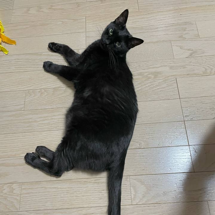 21b4d8b4 c57c 450b b908 1ad16aae2851 1720522360297