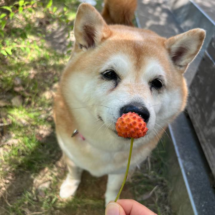 21b50bac d3f2 4930 b35c e67717d2a7c1 1696075743952