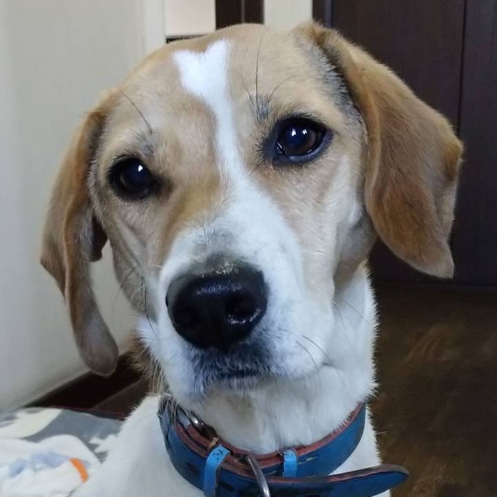 21b50c2c fa16 4867 9524 dcaffd47d20f 1608888386010