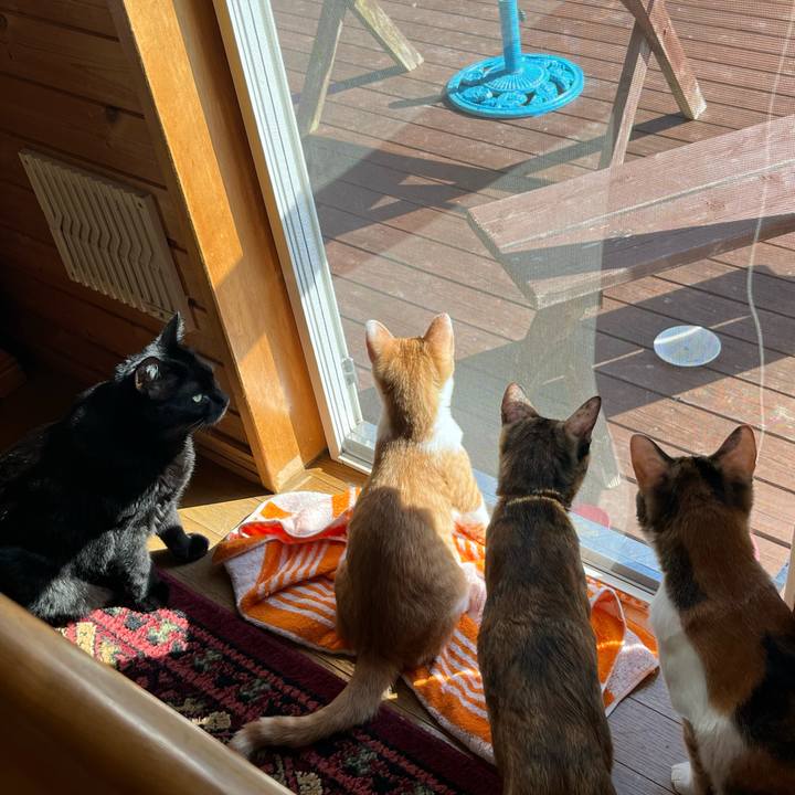 21b50c71 7b57 4111 ae25 17a57f7b62e1 1665887811897