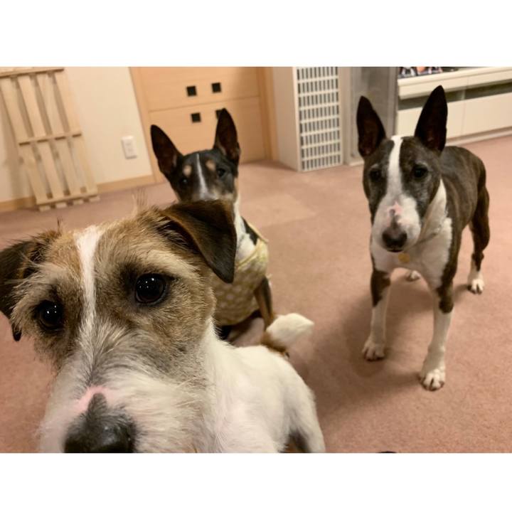 21b50edd b200 49c4 9953 0f04b4c551d4 1584533934951