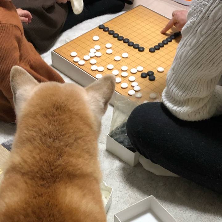 21b5504e e05b 4047 9b69 ede0048153cb 1546852832735