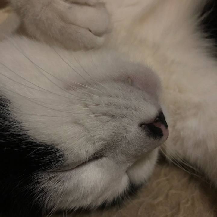 21b58ce1 5d23 4da2 9503 945f3d4e1d3b 1615131170050