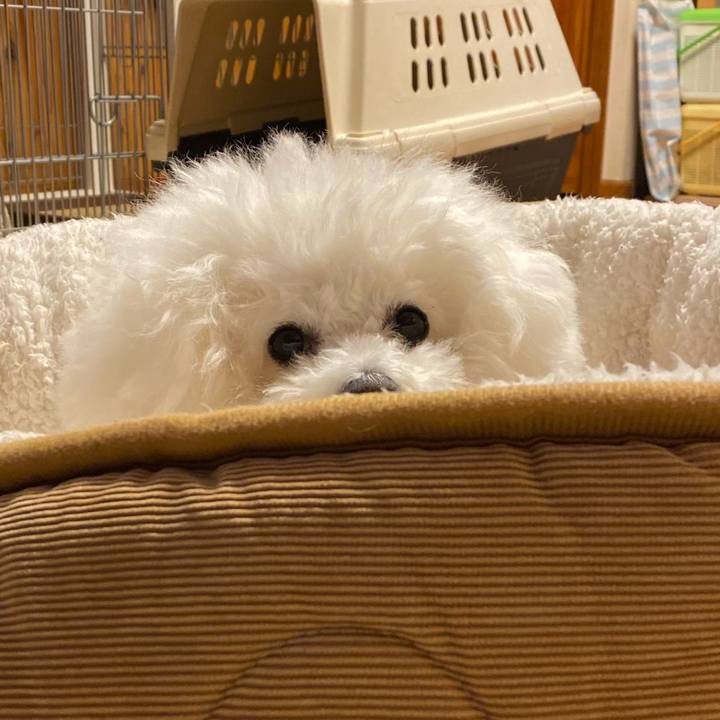 21b59827 e802 4fa5 8a12 9fbddf2bce2f 1607672197117