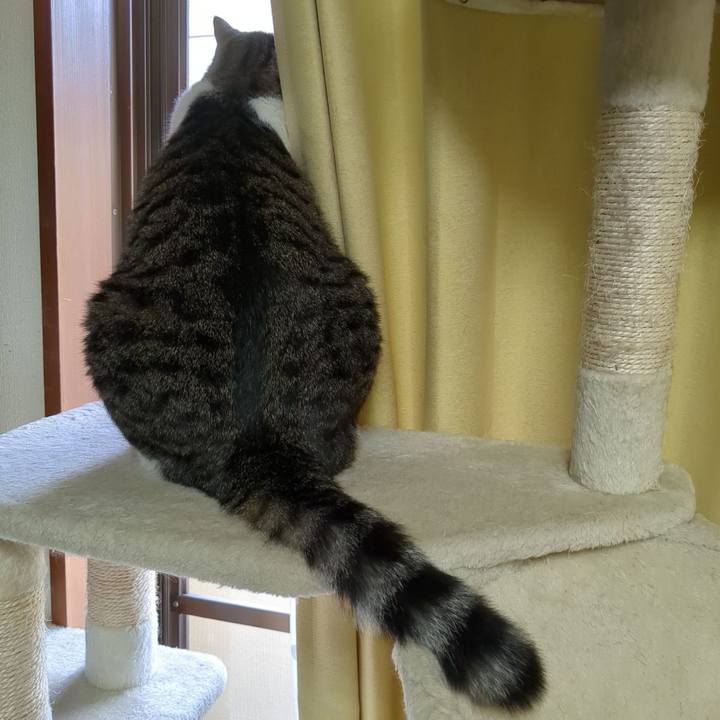 21b5b6a4 df23 4472 a132 20de4dad6db6 1693699769196