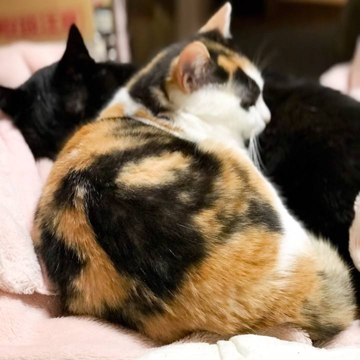 21b5cfe1 edbc 447b 891a 19cf85638198 1528900293101