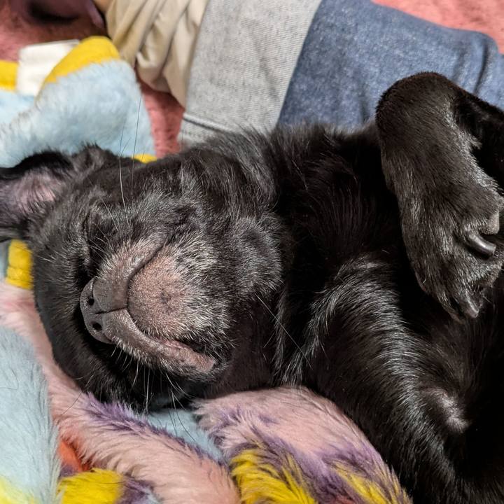 21b5d19e 2a4d 40f8 a446 142d807f16ce 1761222919489