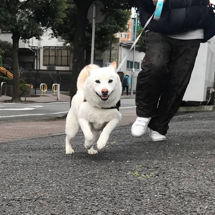 21b5e2ad c9f1 4da7 92a1 8aa9e0a6934a 1583711217172