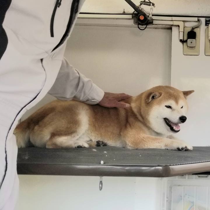 21b5f1eb d3f0 4603 87ec bb78c71f59b2 1654647863108