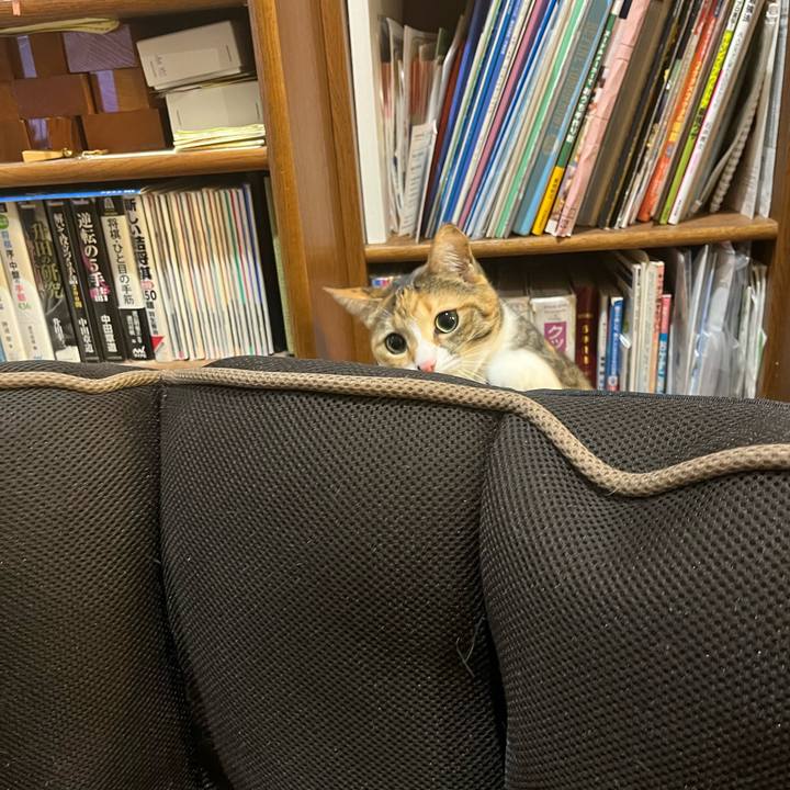 21b6160f f238 4718 a80e 865c08b2273e 1705926781270