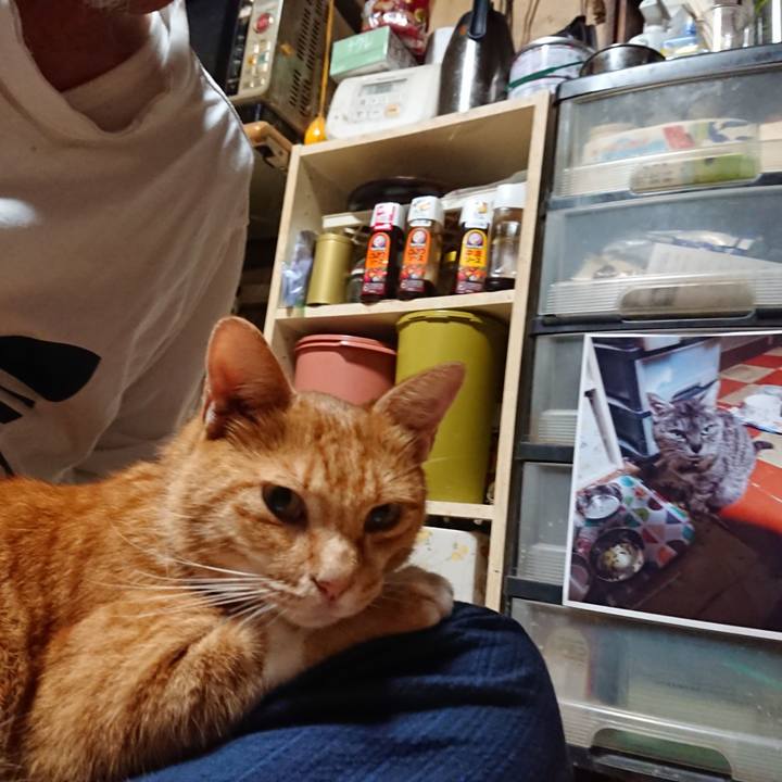 21b61848 a4fa 4a17 b790 0d06f0a1ffc2 1600374009174