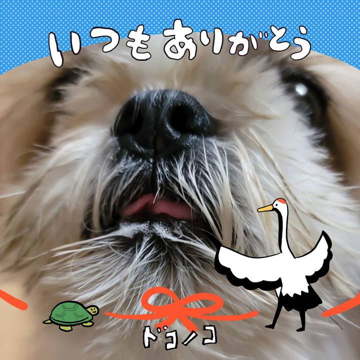 21b61fc1 dbdf 46f0 bbc8 443d5b52515c 1727057387233