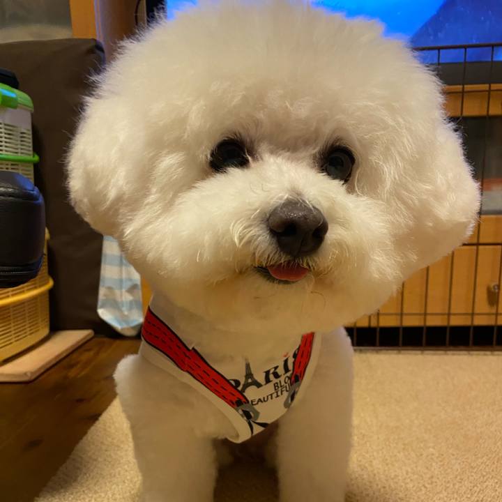 21b634be 204e 48ec 8ced b86786d98b9c 1622975201469