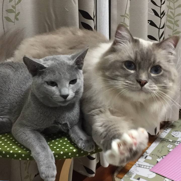 21b6a165 e77d 4d89 95c0 10b8be90c052 1509799148229