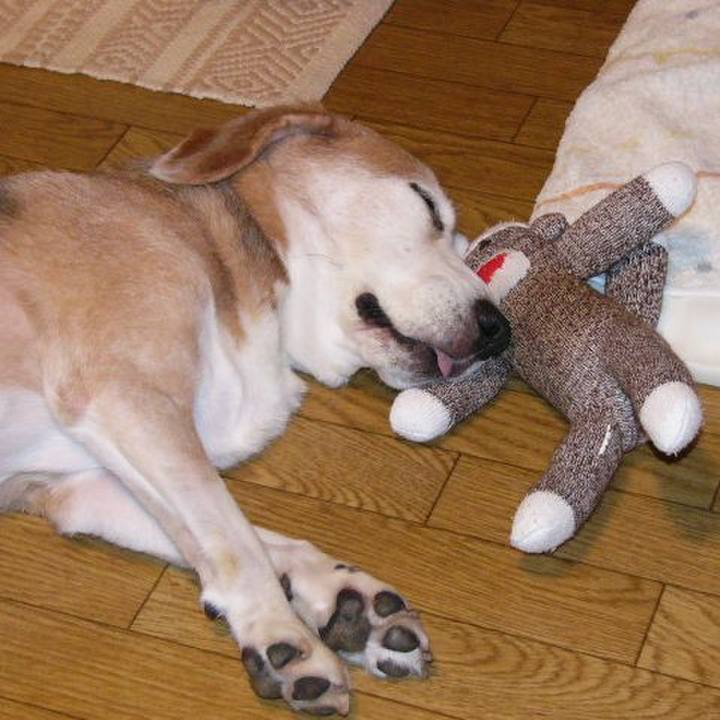 21b6c12d 59e8 45c8 bba0 f83d2931b570 1666920298848