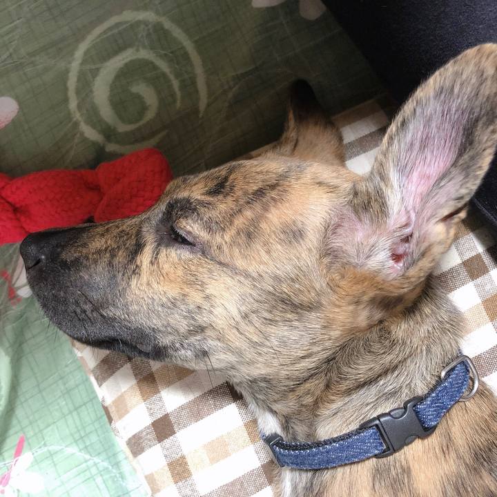 21b6c5b8 b71b 4936 8c20 9304aa52f9e3 1568730631240