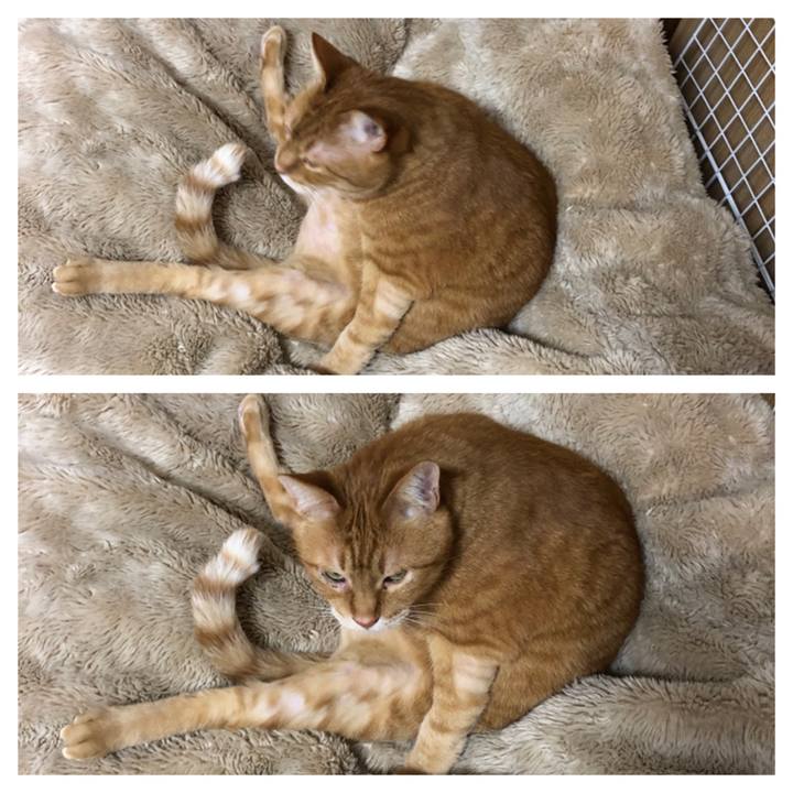 21b6cb0e 5da2 4fb9 a29a 9bbe5b616811 1673990400484