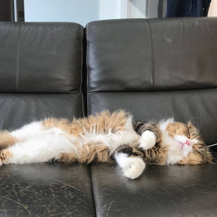 21b6d425 8291 4183 8667 7a41ae7571b6 1534336440575