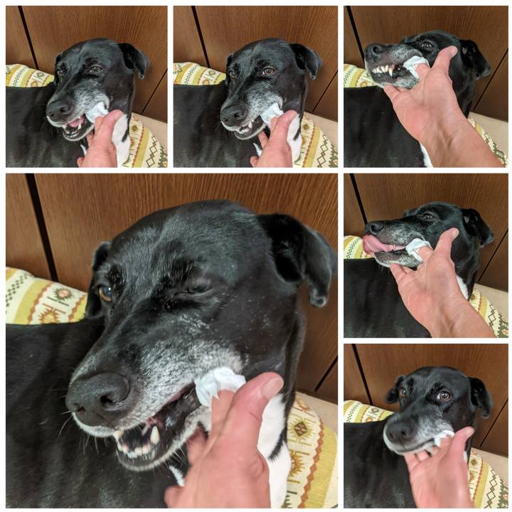 21b6e37f 205a 4e5f 8b7c c8ba9f1d87fd 1693224200234