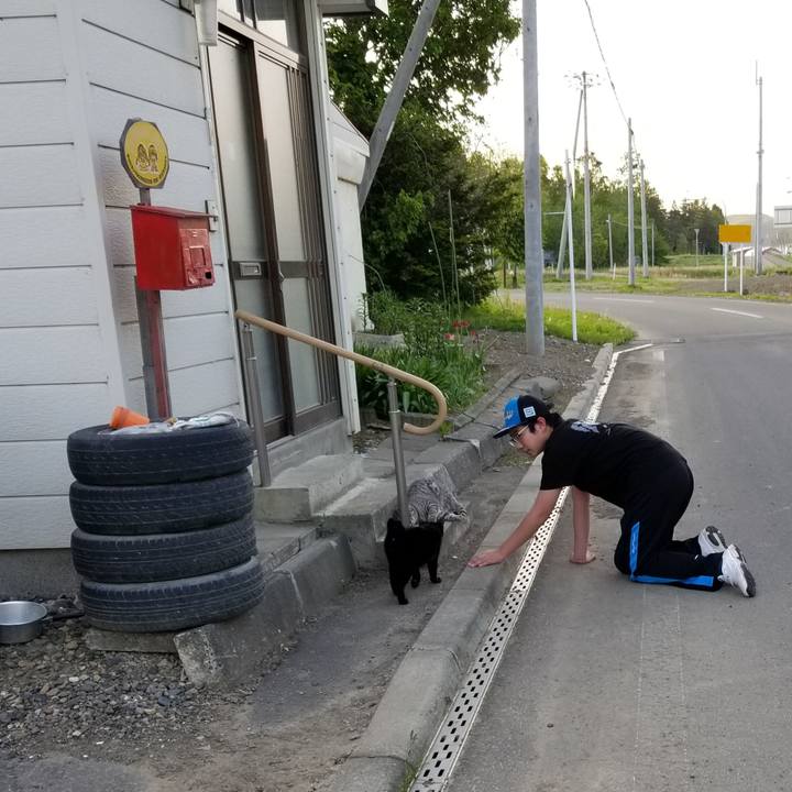 21b6ff3d b578 4910 aada b5919c340eb3 1622900023826