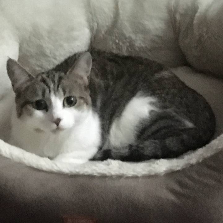 21b71c8c e1c4 4116 b66e 7b227b1a9f01 1632961339159