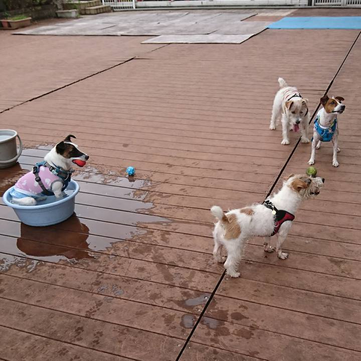 21b73521 3cb2 4e40 8d49 9a0902010b3c 1599700249041