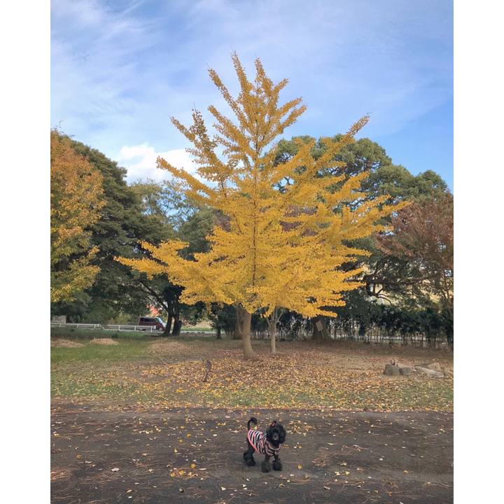 21b748b1 ae7c 4616 9aa3 66f5e757587b 1574937370140