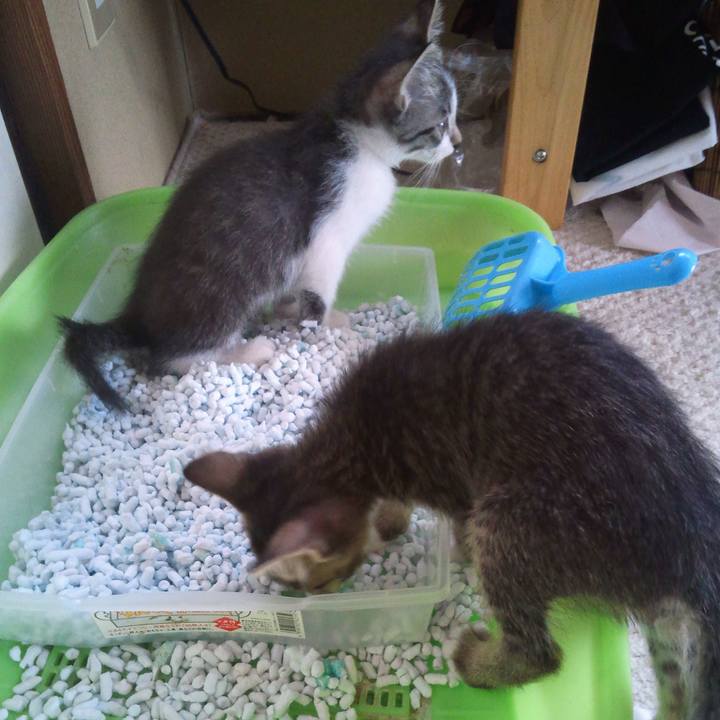 21b75cec 7972 4b16 8090 9cd058892951 1602677796121