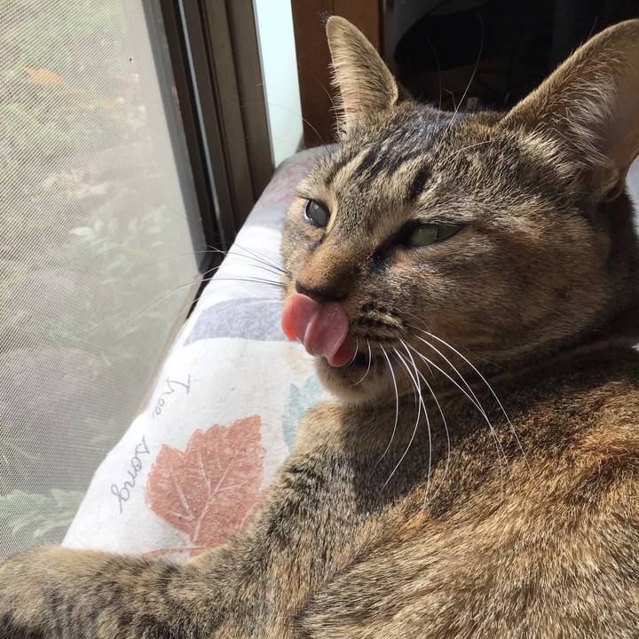 21b78f7f ec8d 4102 bf3e 1a903d506abe 1616122419568