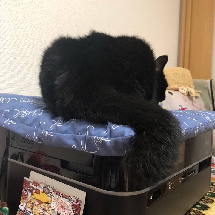 21b794e6 2a71 42bf b104 3a2a808ef267 1535879296502