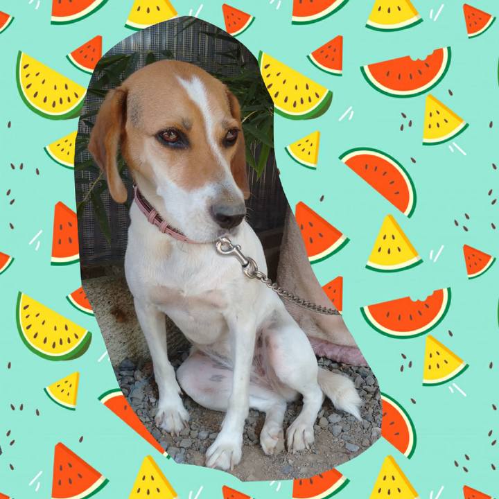 21b7af36 ec3d 4cc4 8347 179c2054404e 1598159415251