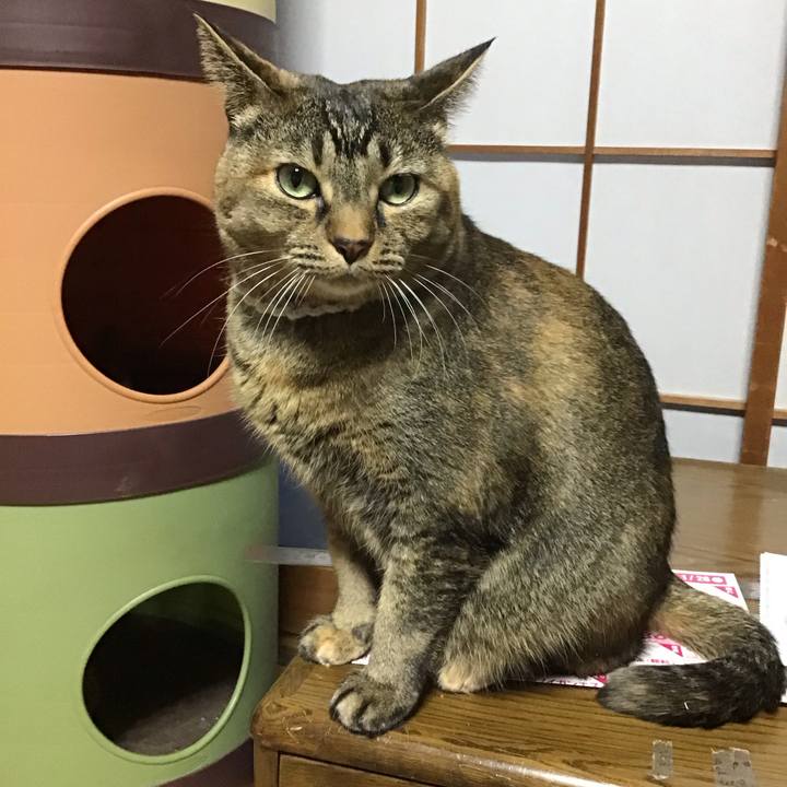 21b7c702 94fe 4723 b0a1 5055ef92974c 1737278721661