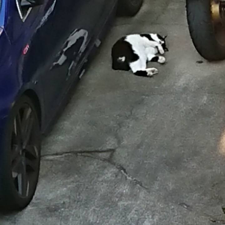 21b804b6 aa4e 496b 88bb 80bf53f8e99b 1622534806841