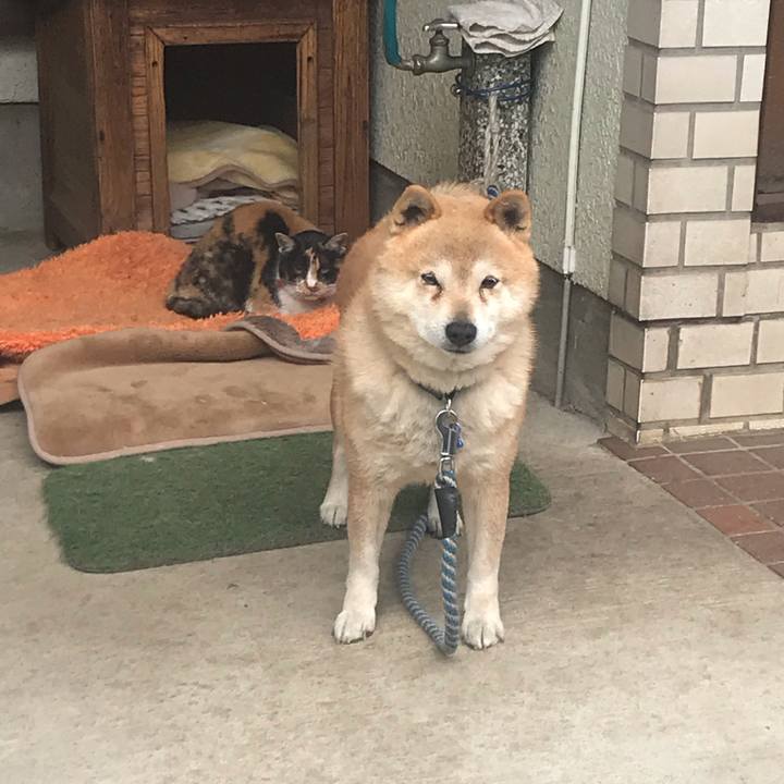 21b82e54 b49d 4475 80e8 f8388f08c68c 1554775744089