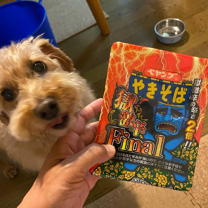 21b8453d dc34 4577 9a9c 4029d55dd738 1658664210200