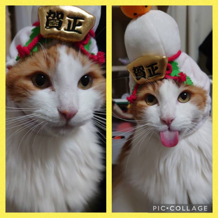 21b87be0 bdca 4835 83e7 85363a6d4453 1641087307802