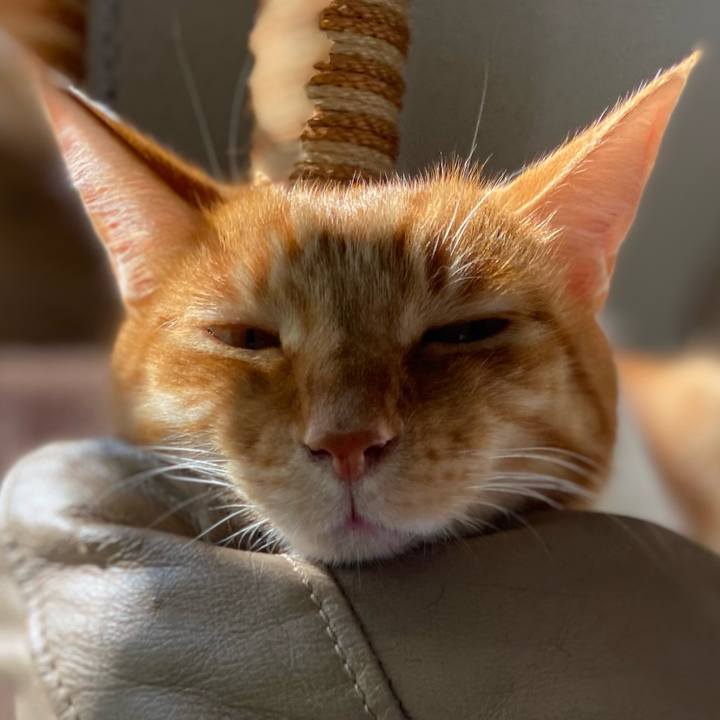 21b89021 df80 4237 b13d 4c5f6c3d7b6c 1667037583261