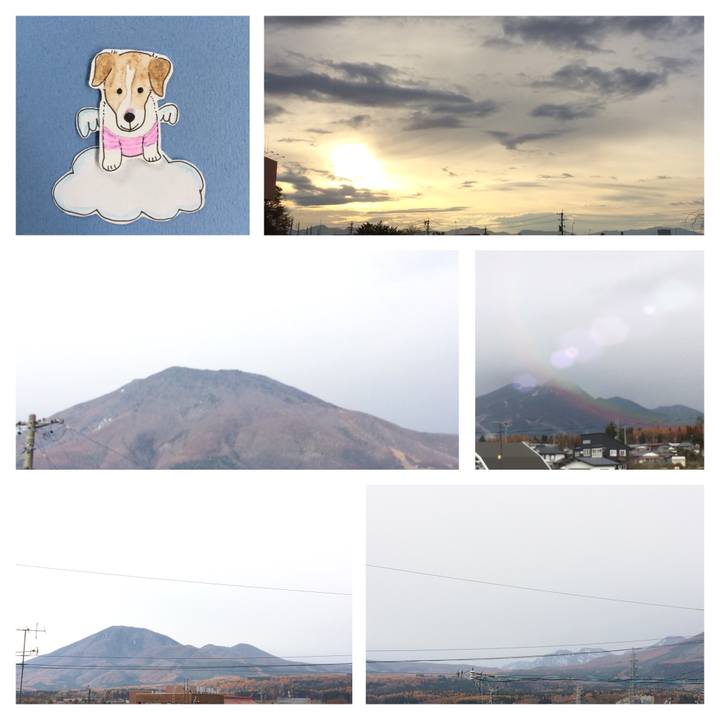 21b89fa8 3b25 4f2d b86b 166506953dff 1510622195563