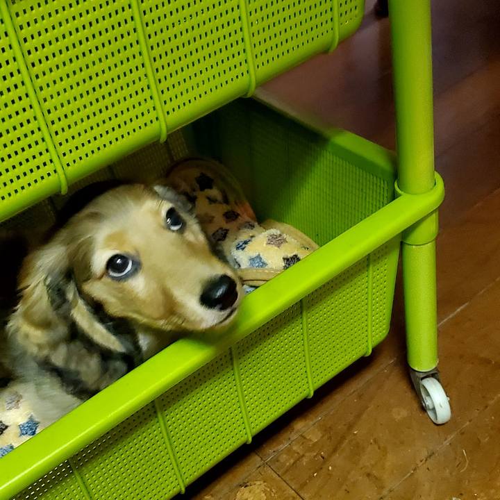 21b8ae67 dadf 4b5a 82a1 25cfe37e3be2 1761307723370