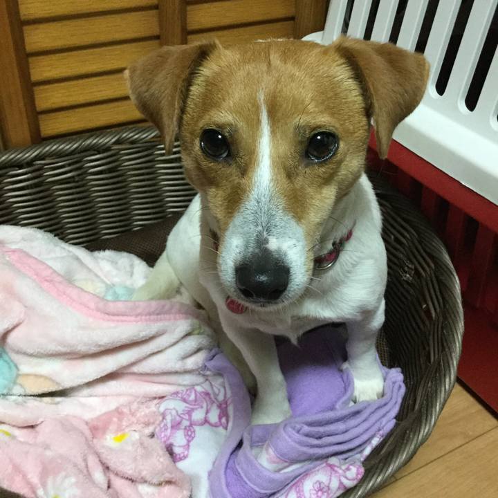 21b905d1 89f9 4700 8533 cc7ff953e8c2 1523960351153