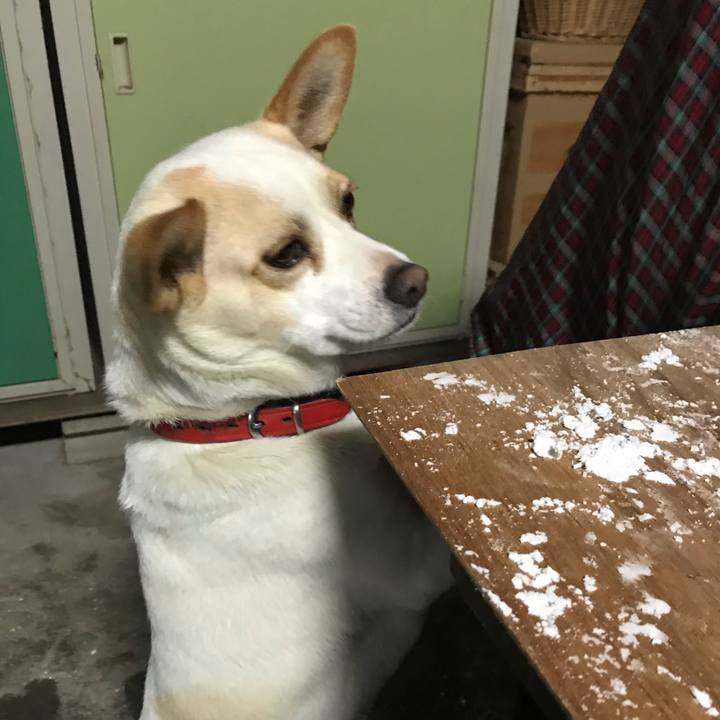 21b92520 4931 4a4c ba9a 5eef99d4e0db 1577702789416